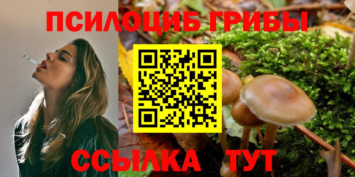 Галлюциногенные грибы GOLDEN TEACHER Урус-Мартан