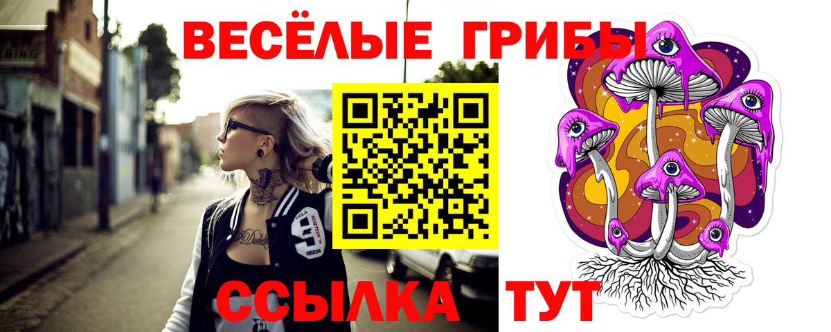Урус-Мартан  Псилоцибиновые грибы ЛСД  Вход с VPN 